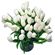 white tulips. Athens